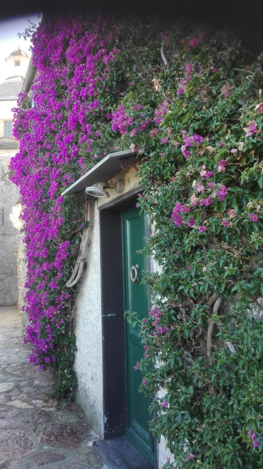 La Bouganvilla Porto Venere Buitenkant foto